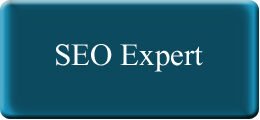 12blog-seo-expert-5759329